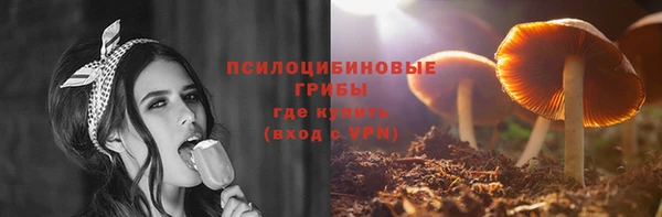 спиды Гусев