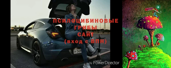 спиды Гусев