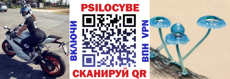 MEGA онион  Орск  Псилоцибиновые грибы Magic Shrooms 
